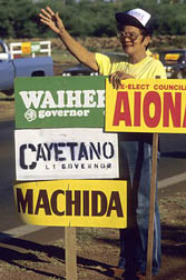 Hawaii Voting.jpg
