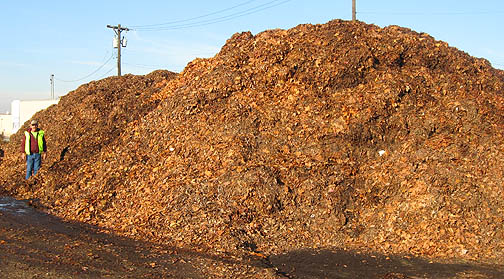 NORTH END LEAVES COLLECTED BY ACHD AWAIT TRANSFER  FOR RECYCLING.