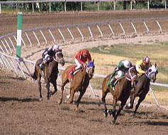 Horse race in Boise, Idaho. horse, race, jocky, competition, ride, track, run, sport, turf, jockey