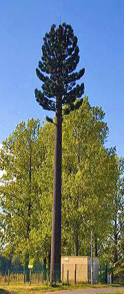 Cell site tower camouflaged as a pine tree in Northern France.