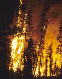wildfire1.jpg